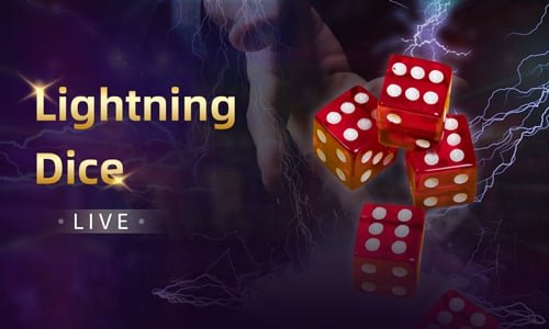 spinbet99
