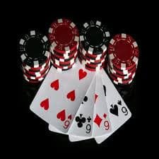 spinbet99 Platform